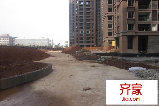 中欣楚天雅郡在建綠化（2015.12.14）