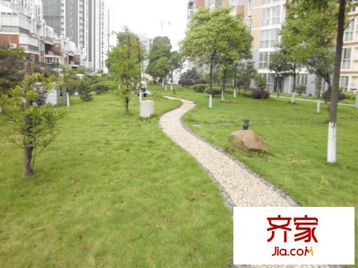 澤云?幸福里外景圖