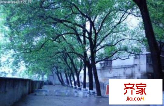 左家塘印刷廠宿舍外景圖