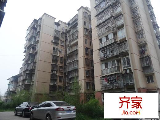 鍛壓小區(qū)外景圖