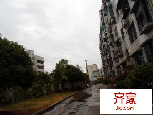長沙縣林業(yè)局單位房外景圖