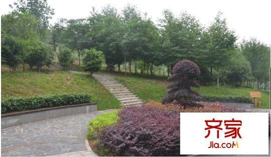 長沙森林城外景圖