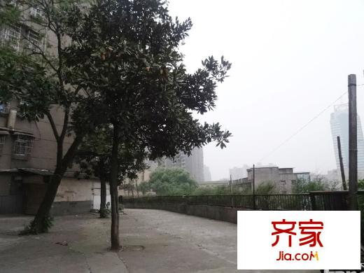 鍛壓小區(qū)外景圖