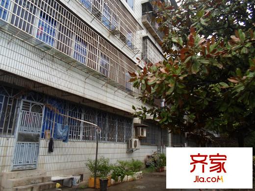 長沙縣林業(yè)局單位房外景圖