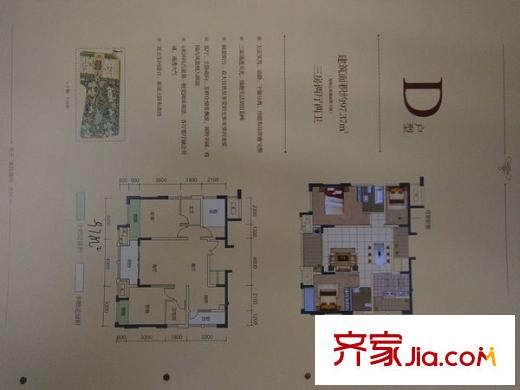 奧林匹克花園三期 0室 戶型圖