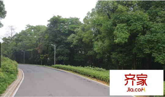長沙森林城外景圖