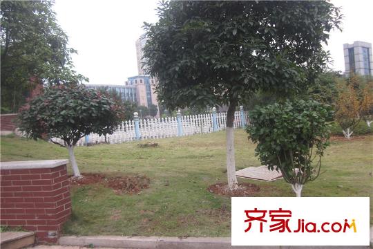 90公館周邊綠化