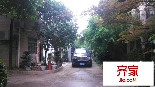 中房碧翠園