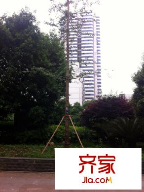 銀園公寓外景圖
