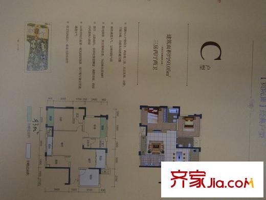 奧林匹克花園三期 0室 戶型圖