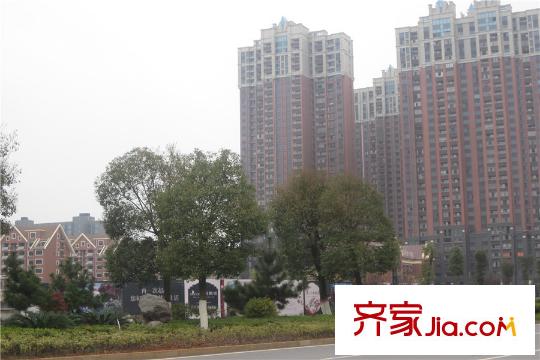 90公館周邊橄欖城