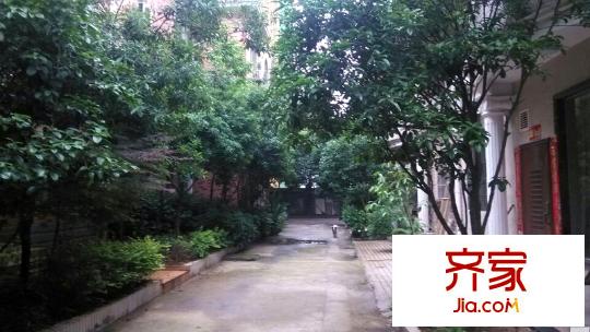 中房碧翠園外景圖