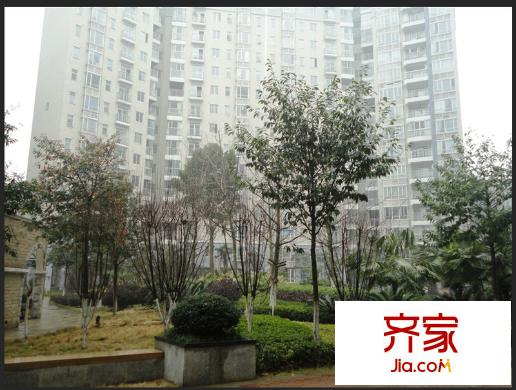 濱江新外灘外景圖
