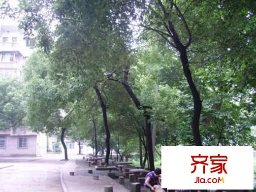 二十三冶單位房