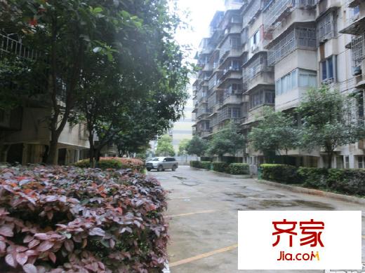 下民航宿舍外景圖