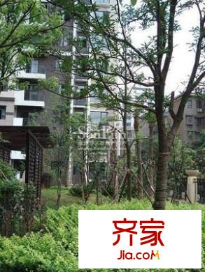 鑫宇翠庭外景圖