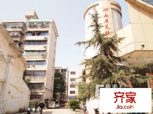 花鼓戲劇院外景圖