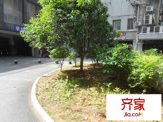 天辰楓丹白露外景圖