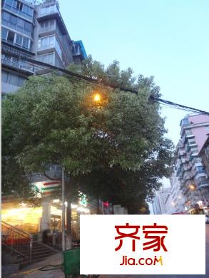 紫云軒外景圖