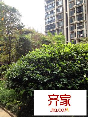 中江麗晶苑外景圖