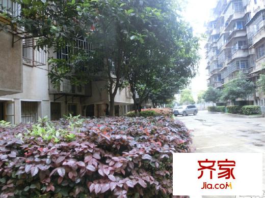 下民航宿舍外景圖