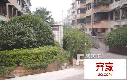 煙草公司宿舍