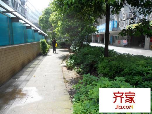 天辰楓丹白露外景圖
