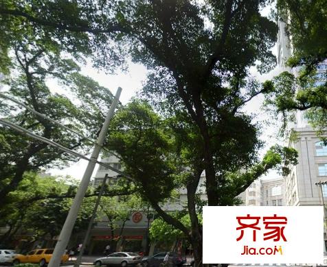 白云社區(qū)外景圖