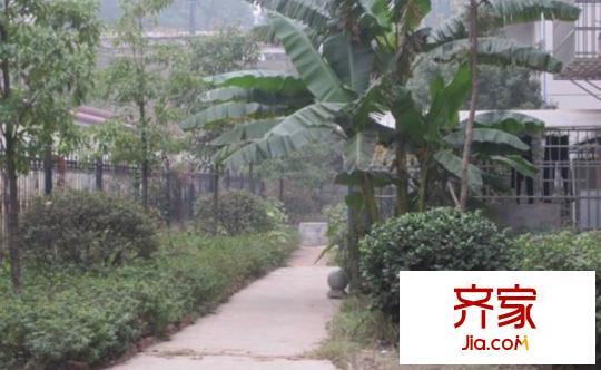友園山莊外景圖