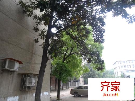 茶園坡送變電建設(shè)公司宿舍外景圖