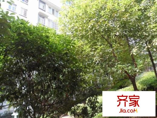 煙草公司宿舍外景圖