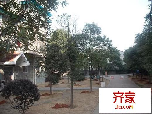 雅塘村社區(qū)外景圖