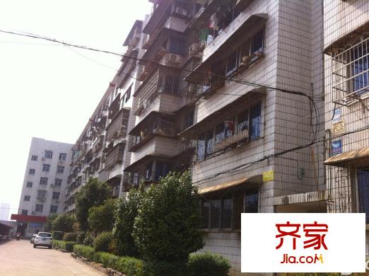交通局宿舍外景圖