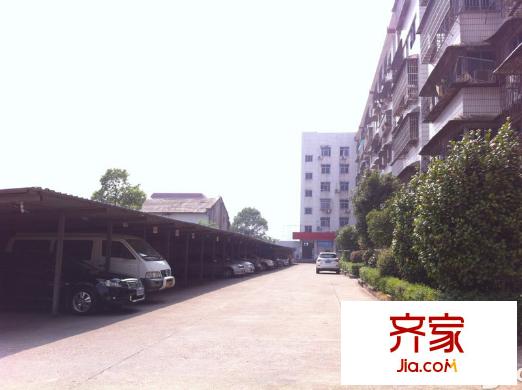 交通局宿舍外景圖
