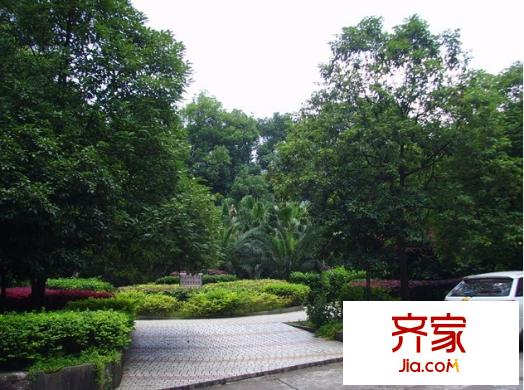 麻園灣社區(qū)外景圖