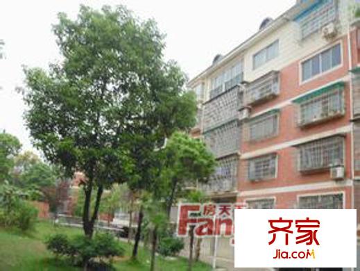 思進(jìn)大廈