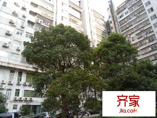 思進大廈外景圖