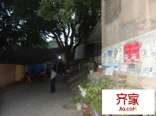 香巴圣地外景圖
