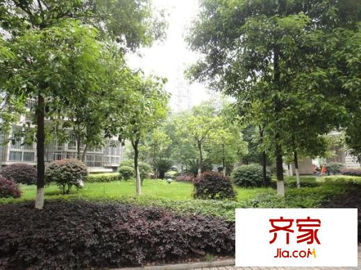 地稅五分局宿舍外景圖