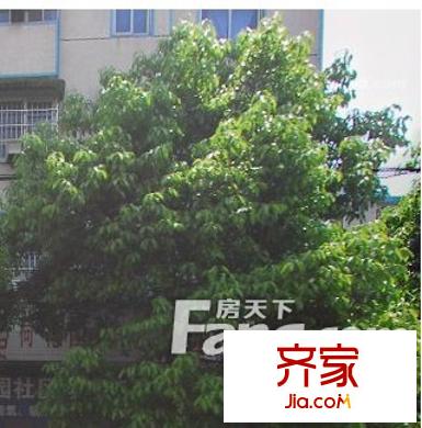 東屯渡移動公司宿舍外景圖