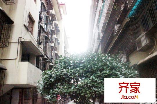 鳳凰商貿(mào)城外景圖