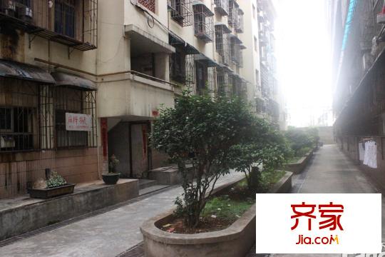 鳳凰商貿(mào)城外景圖