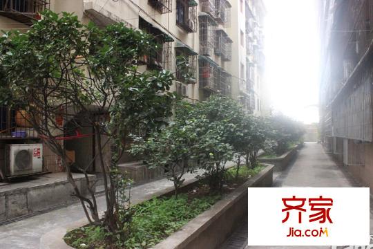鳳凰商貿(mào)城外景圖