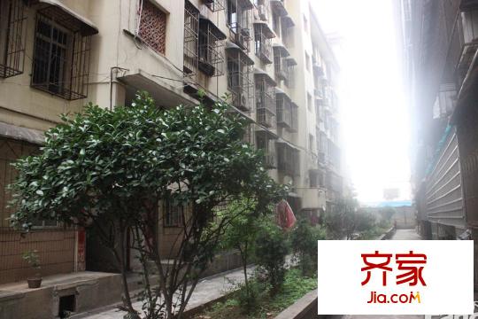 鳳凰商貿(mào)城外景圖