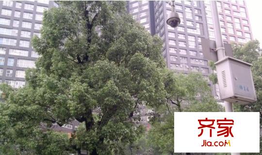 匯富中心外景圖