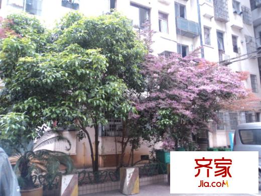 湘繡研究所宿舍外景圖