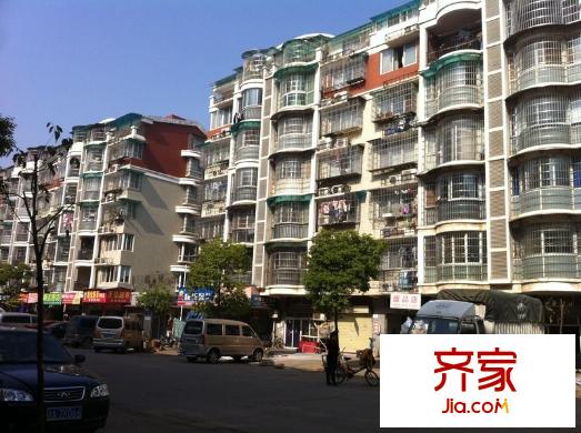 錦繡中星外景圖 