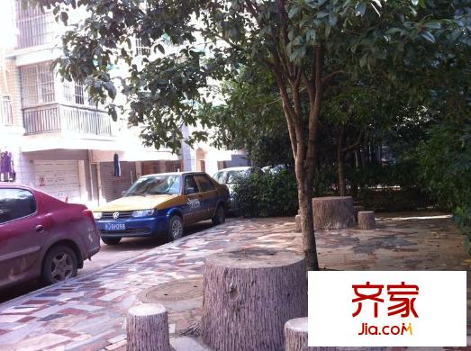 錦繡中星外景圖 