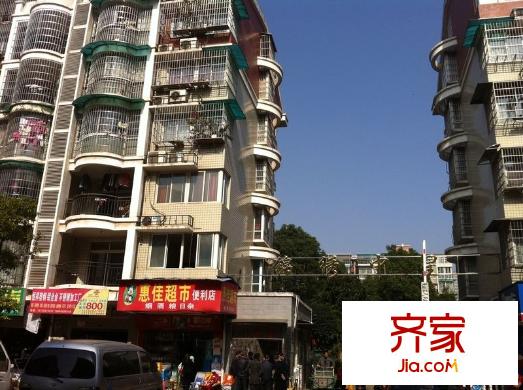 錦繡中星外景圖 
