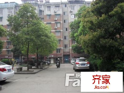 錦繡中星外景圖